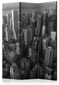 Rumsavdelare / Skärmvägg - New York: skyscrapers (bird's eye view) - 135x172