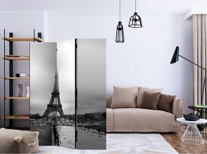 Rumsavdelare / Skärmvägg - Paris: Eiffel Tower - 135x172