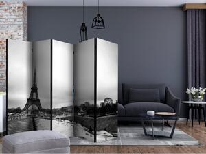 Rumsavdelare / Skärmvägg - Paris: Eiffel Tower II - 225x172