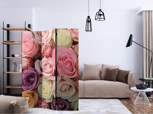 Rumsavdelare / Skärmvägg - Pastel roses - 135x172