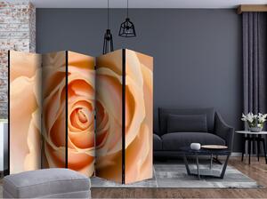 Rumsavdelare / Skärmvägg - Peach-colored rose II - 225x172