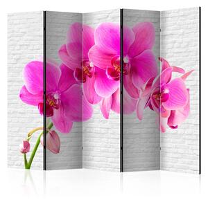 Rumsavdelare / Skärmvägg - Pink excitation II - 225x172