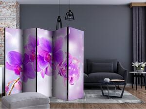 Rumsavdelare / Skärmvägg - Purple Orchids II - 225x172