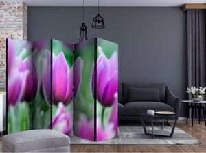 Rumsavdelare / Skärmvägg - Purple spring tulips II - 225x172