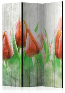 Rumsavdelare / Skärmvägg - Red tulips on wood - 135x172