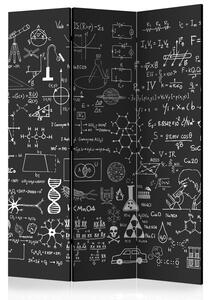 Rumsavdelare / Skärmvägg - Science on Chalkboard - 135x172