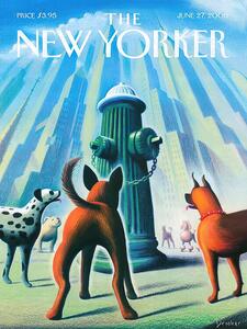 Illustration The NY Magazine Cover 124