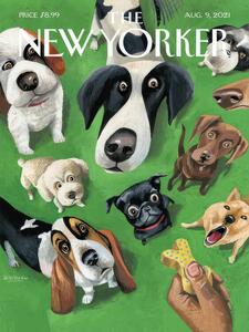 Illustration The NY Magazine Cover 65