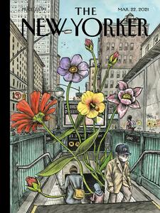 Illustration The NY Magazine Cover 06