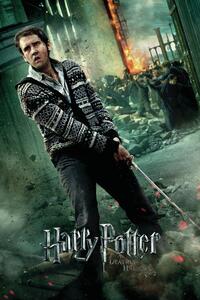 Konsttryck Harry Potter - Neville Longbottom