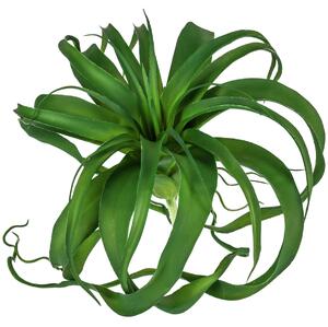 Hängväxt Kinza; 23 cm (H); Grön
