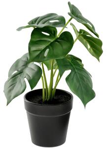 Konstgjord växt Nivia; 25 cm (H); Grön/Svart