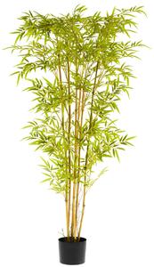 VEGA Bambuplanta Abir; 170 cm (H); Grön/Brun/Svart