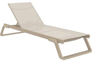 Siesta Solsäng Tropic; 210x72x31 cm (LxBxH); Gråbrun/taupe