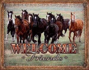 Metallskylt WELCOME - HORSES - Friends