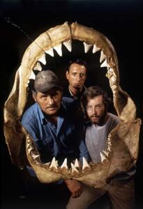 Fotografi JAWS, 1975