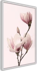 Inramad Poster / Tavla - Blooming Magnolias III - 20x30 Guldram med passepartout