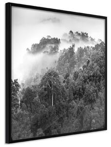 Inramad Poster / Tavla - Foggy Forest - 20x20 Svart ram med passepartout