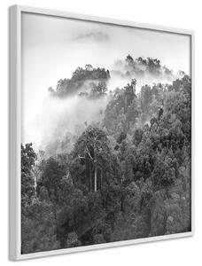 Inramad Poster / Tavla - Foggy Forest - 20x20 Svart ram med passepartout