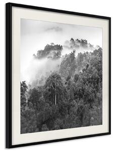 Inramad Poster / Tavla - Foggy Forest - 20x20 Svart ram