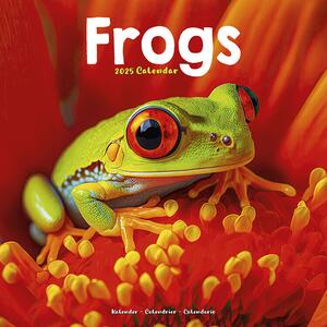 Kalender 2025 Frogs