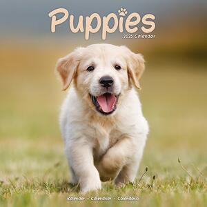 Kalender 2025 Puppies