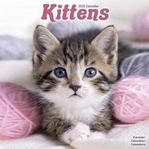 Kalender 2025 Kittens