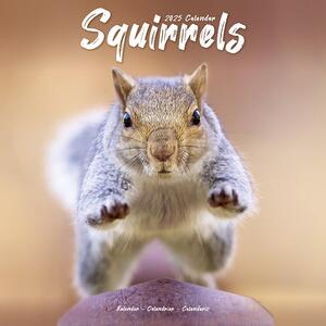 Kalender 2025 Squirrels