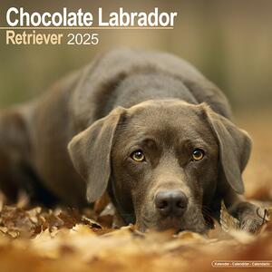 Kalender 2025 Labrador Retriever