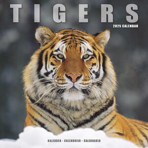 Kalender 2025 Tigers