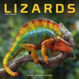 Kalender 2025 Lizards