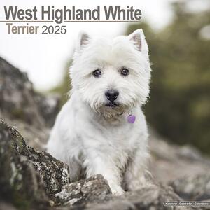 Kalender 2025 West Highland Terrier