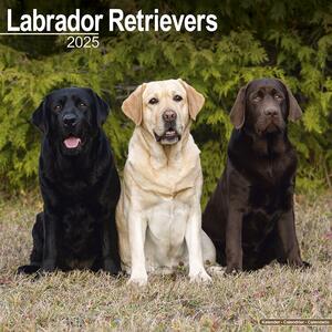 Kalender 2025 Labrador Ret