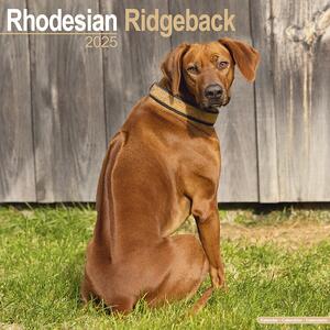 Kalender 2025 Rhodesian Ridgeback