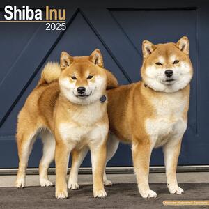 Kalender 2025 Shiba Inu