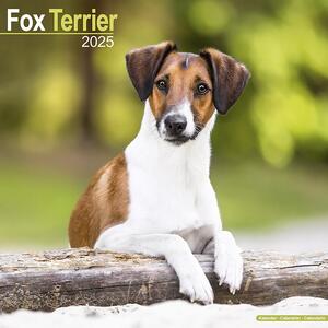 Kalender 2025 Fox Terrier