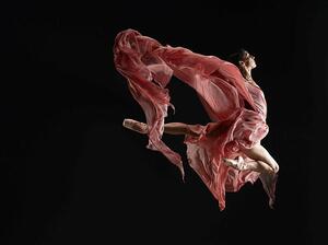 Fotografi Ballet dancer wearing flowing dress in, Ryan McVay