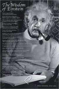 Poster, Affisch Wisdom of Einstein