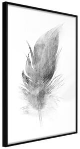 Inramad Poster / Tavla - Lost Feather (Grey) - 20x30 Guldram med passepartout