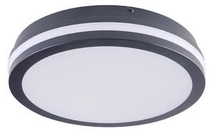 Brilagi - Utomhus LED belysning BENE LED/24W/230V diameter 26 cm IP54