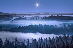Fotografi Beautiful foggy forest, Aulanko, Hameenlinna, Finland, Milamai