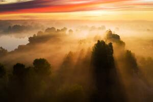 Fotografi Beautiful misty dawn in the spring, Anton Petrus