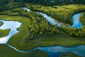Fotografi Swamp, river and trees seen from above, Baac3nes