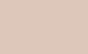 Dorchester Pink - Absolute Matt Emulsion - 1 L