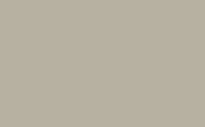 French Grey - Dark - Intelligent Satinwood - 1 L