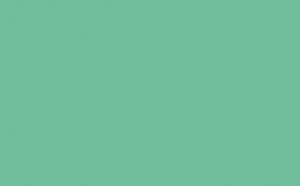 Green Verditer - Intelligent Matt Emulsion - 1 L
