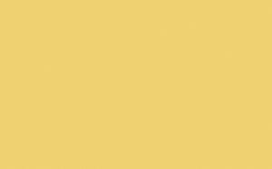 Indian Yellow - Intelligent Matt Emulsion - 1 L