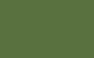 Hopper - Absolute Matt Emulsion - 5 L