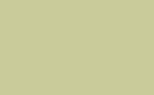 Kitchen Green - Absolute Matt Emulsion - 1 L
