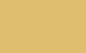 Light Gold - Intelligent Satinwood - 1 L
